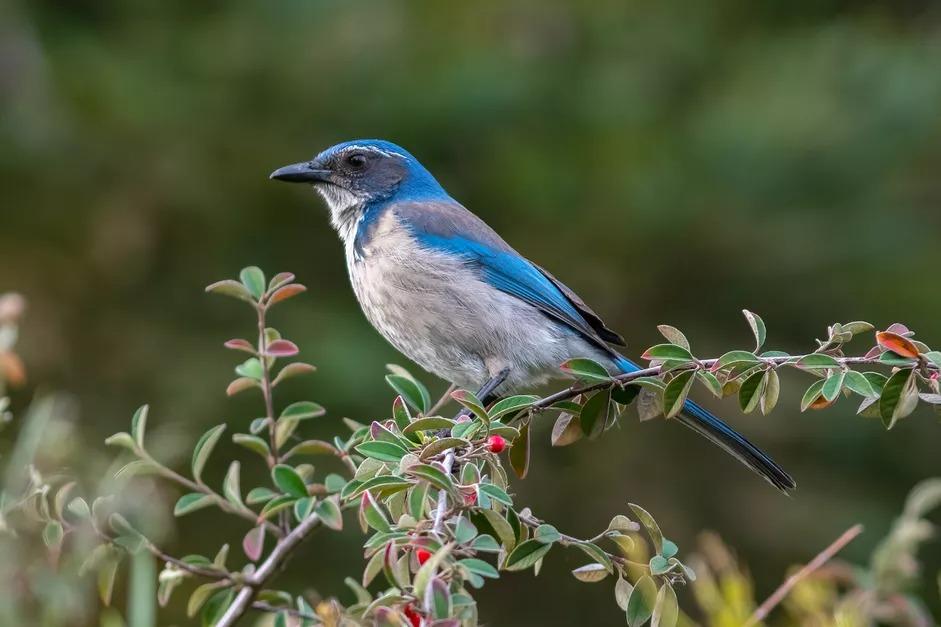 Sinh ngày Âm lịch này cuối năm 2022 đón may mắn, nhận tin vui-1