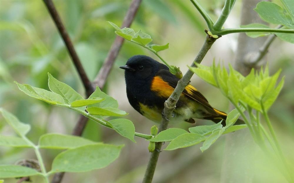 Sinh ngày Âm lịch này cuối năm 2022 đón may mắn, nhận tin vui-3