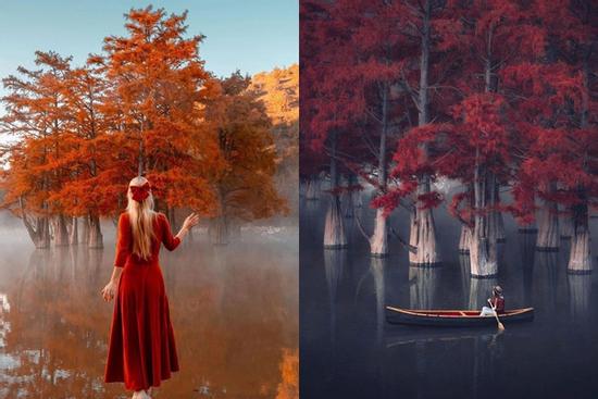 Khu rừng đỏ bí ẩn ở Nga