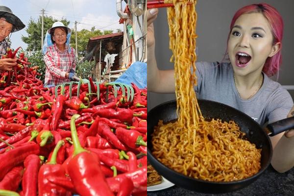 Thứ gia vị từng đắt hơn vàng-2