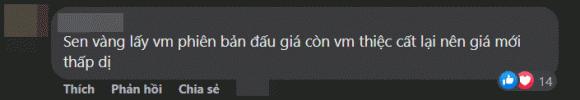 Vương miện Chung kết hay buổi đấu giá của Mai Phương mới là thật?-5