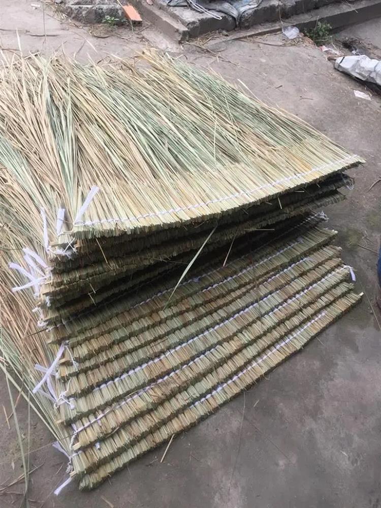 Câu đố Tiếng Việt: Đều như vắt gì...?, trả lời chanh là sai-2