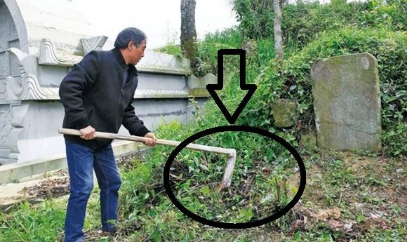 Ba không trồng trước mộ, bốn không để trên giường, thứ đó là gì?-1