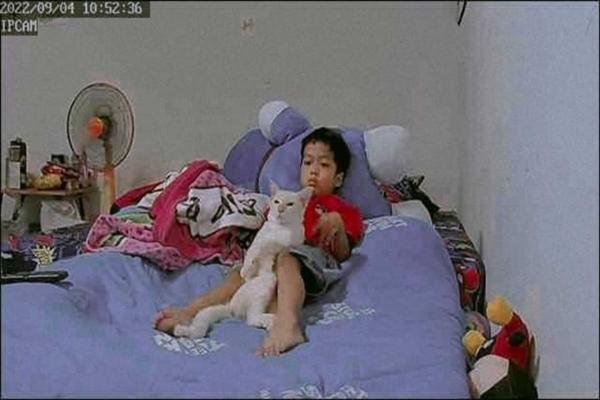 Mèo cưng nghịch ngợm trèo lên tủ, vô tình hé lộ bí mật của chủ-2