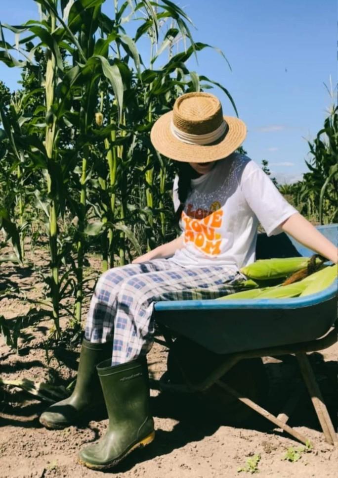 Người bảo lãnh Tina Dương nói gì về thông tin bị hotgirl đá mất xe?-1