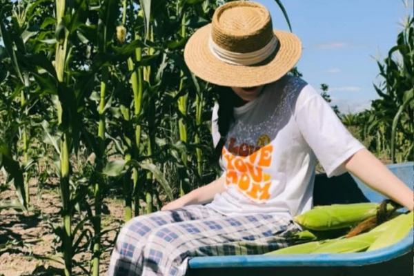 Vụ bắt tạm giam Ninh Thị Vân Anh: Vì sao không khởi tố tội lừa đảo-2