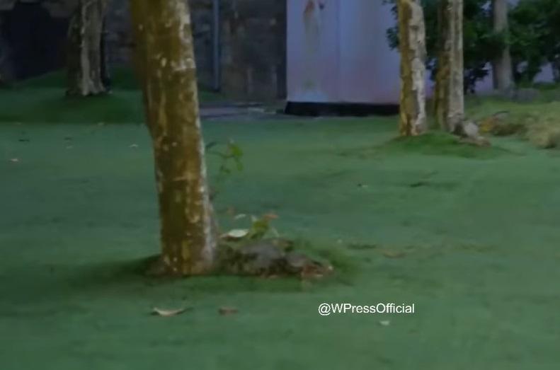 BTC Miss Grand Vietnam xin lỗi về phần thi áo tắm đa dạng sạn-5