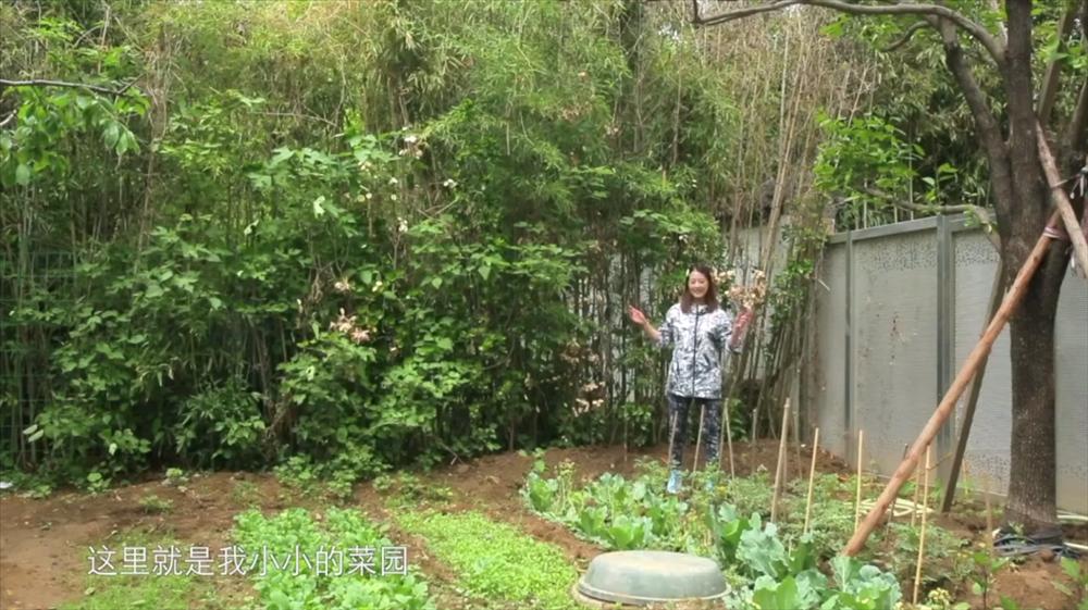 Cuộc sống cô độc tuổi 56 của mỹ nhân TVB Châu Hải My-3