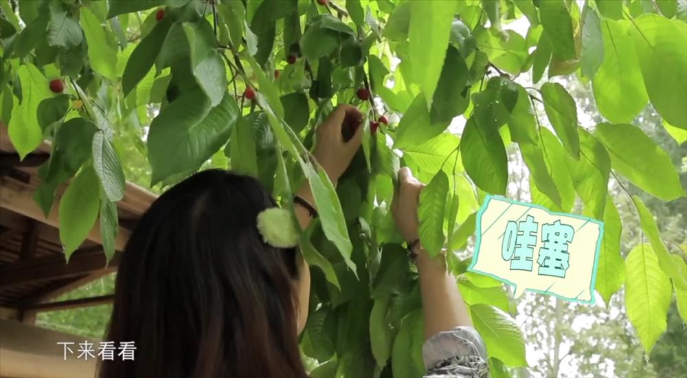 Cuộc sống cô độc tuổi 56 của mỹ nhân TVB Châu Hải My-4