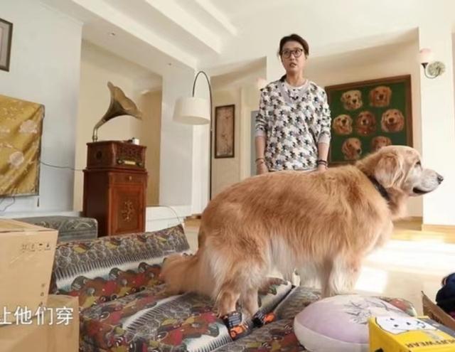 Cuộc sống cô độc tuổi 56 của mỹ nhân TVB Châu Hải My-9