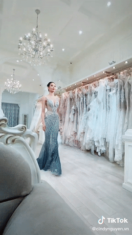 Bộ váy đẹp xuất sắc bị Hoàng Thùy bỏ qua tại Miss Universe-3