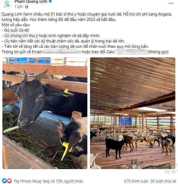 Quang Linh chiêu mộ người tài sang châu Phi, yêu cầu những gì?-1