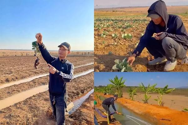 Quang Linh chiêu mộ người tài sang châu Phi, yêu cầu những gì?-3