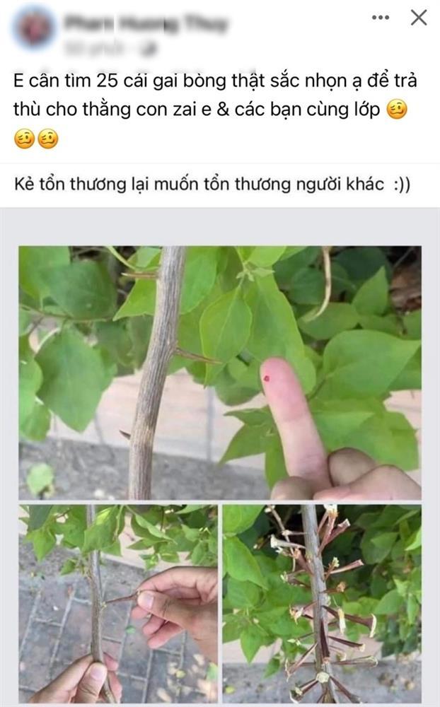 Trẻ mầm non ở Thái Bình bị cô giáo dùng gai bưởi đâm vào người-1