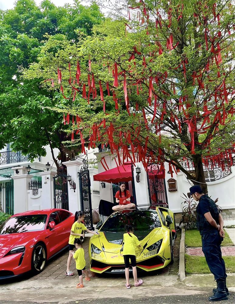 Vợ con thông đồng phá siêu xe bạc tỷ của đại gia Quốc Vũ-8