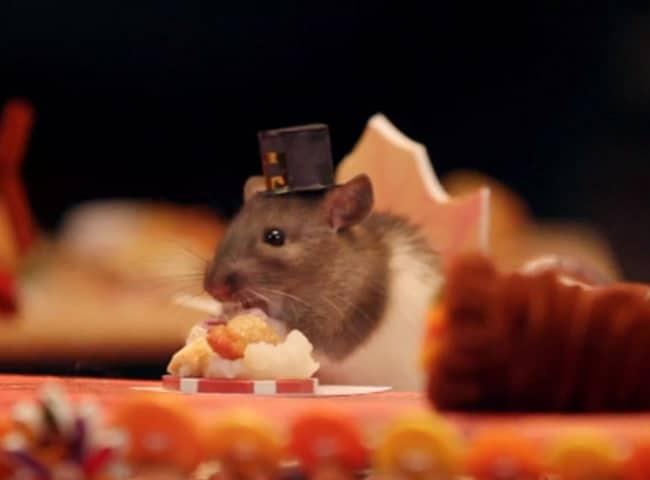 Tử vi hàng ngày 12 con giáp thứ Sáu 23/9/2022: Quen thói trăng hoa-1