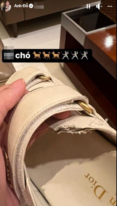 Dép 30 triệu mà hot girl Trâm Anh để chó cắn tan nát-1