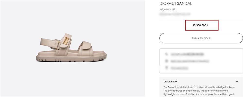 Dép 30 triệu mà hot girl Trâm Anh để chó cắn tan nát-4