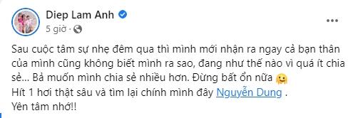 Diệp Lâm Anh sống khép kín, bạn thân cũng không hiểu-2