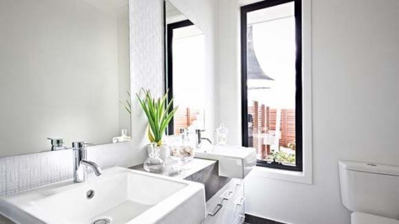 Các loại cây phong thủy phù hợp với nhà vệ sinh-2