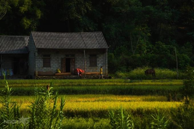 Sông Quây Sơn tựa tranh thủy mặc vào mùa thu-7