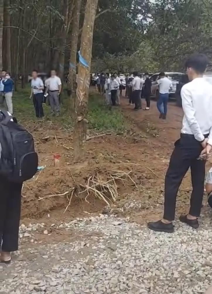 Clip cò đất náo loạn chốt cọc nhanh như chớp ở Bình Phước-1