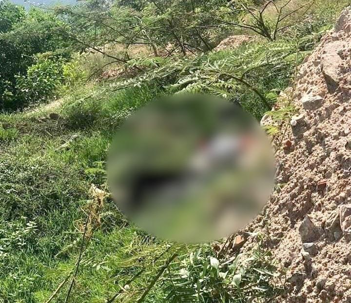 Vụ thi thể cô giáo ở Bình Định: Phát hiện thêm bức thư tuyệt mệnh-1