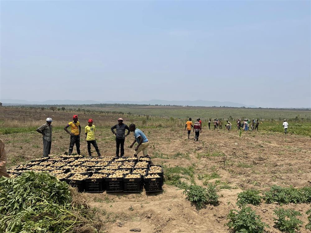 Quang Linh Vlog bội thu trên mảnh đất cằn cỗi ở châu Phi-2