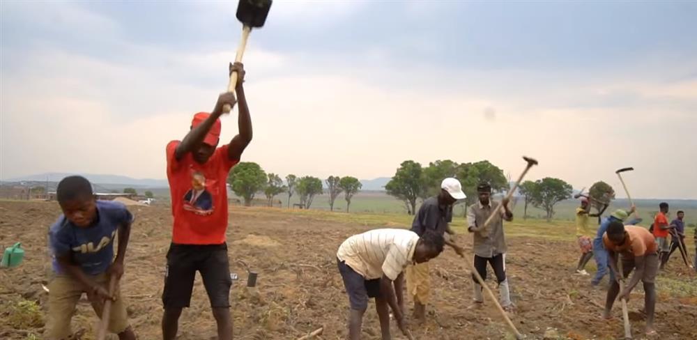 Quang Linh Vlog bội thu trên mảnh đất cằn cỗi ở châu Phi-10