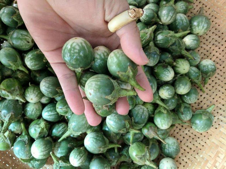 Loại quả rụng đầy đường không ai nhặt thành đặc sản Tây Nguyên-1