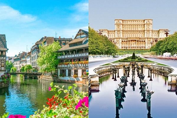 Gấu hỗn chiến giành cá hồi-1