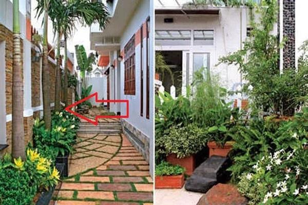 3 cây cảnh ông bà càng trồng con cháu càng được dày phúc lộc-4