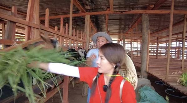 Bà Nhân khoe hình cận tài sản trị giá 4,3 tỷ của Quang Linh Vlog-6