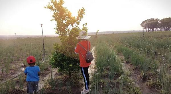 Bà Nhân khoe hình cận tài sản trị giá 4,3 tỷ của Quang Linh Vlog-8