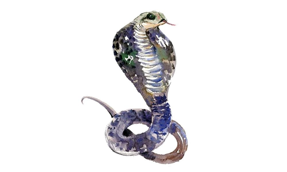 Tử vi hàng ngày 12 con giáp thứ Ba 27/9/2022: Yêu là cuộc chiến-2