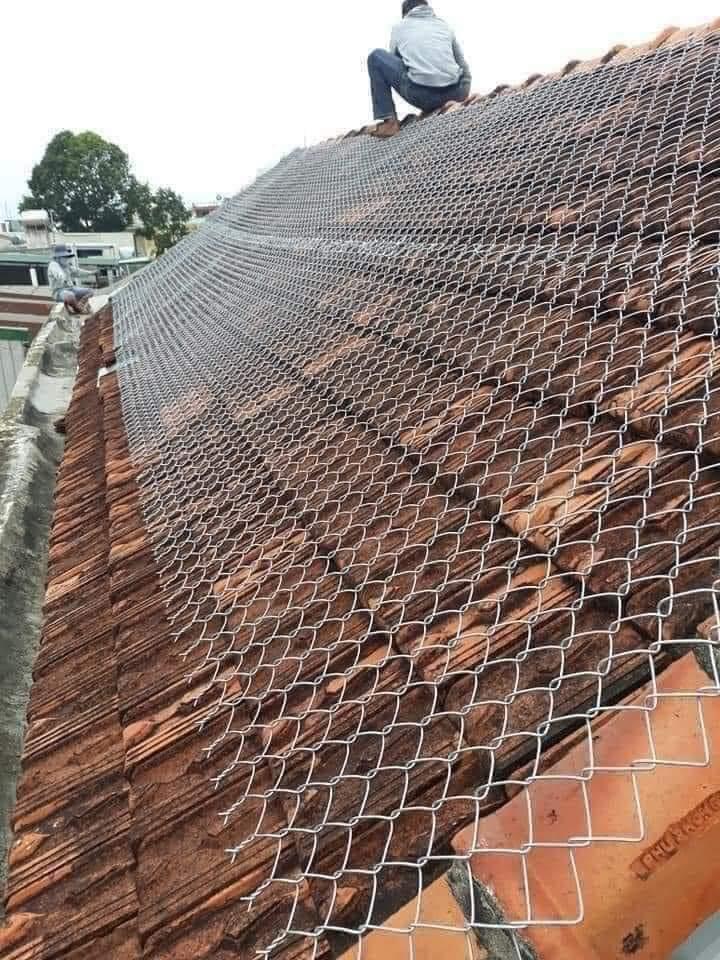 Có người dùng dây thép chằng kín để tránh gió bão thổi bay mất mái ngói.