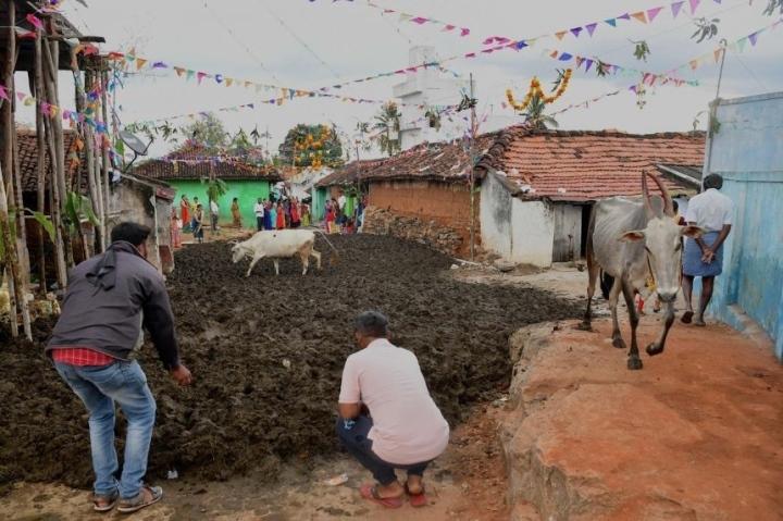 Độc lạ lễ hội ném phân bò chữa bệnh ở ngôi làng Ấn Độ-2