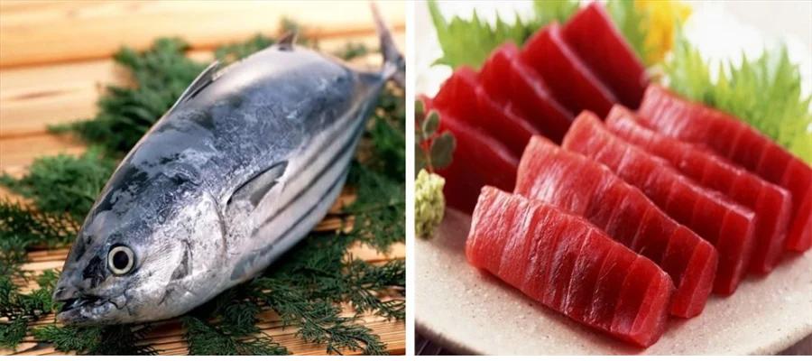 6 loại cá rẻ mấy cũng đừng mua, quá sợ vì nhiều thủy ngân nhiễm độc-2