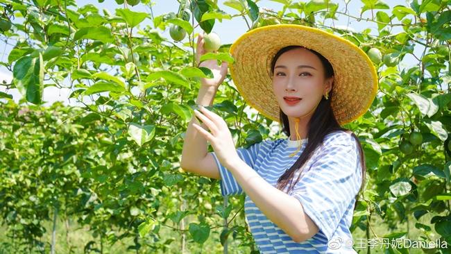 Đệ nhất ngực đẹp nhận cát-xê 13 tỷ, bỏ nghề bác sĩ giờ sống ra sao?-7