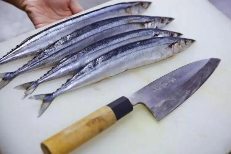Loại cá Nhật Bản quý như vàng cho não nhưng nhiều người không thích-1