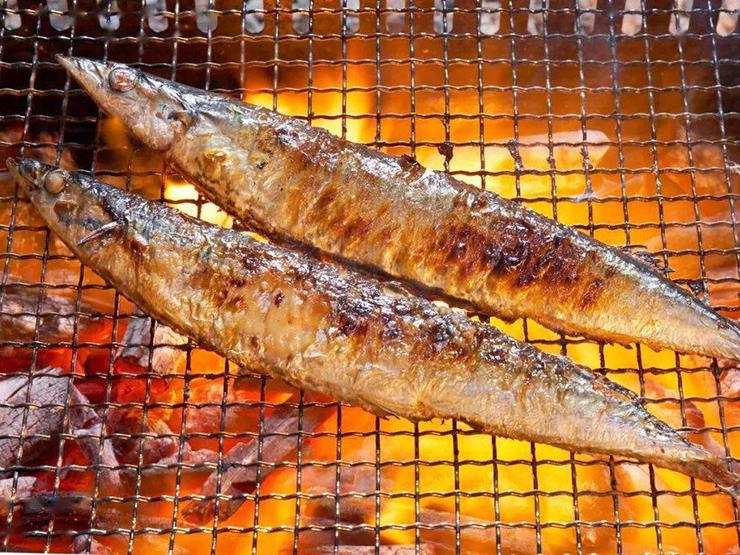 Loại cá Nhật Bản quý như vàng cho não nhưng nhiều người không thích-2