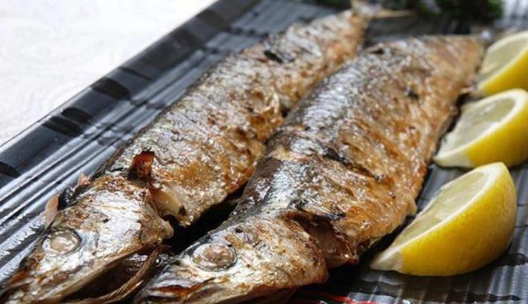 Loại cá Nhật Bản quý như vàng cho não nhưng nhiều người không thích-4