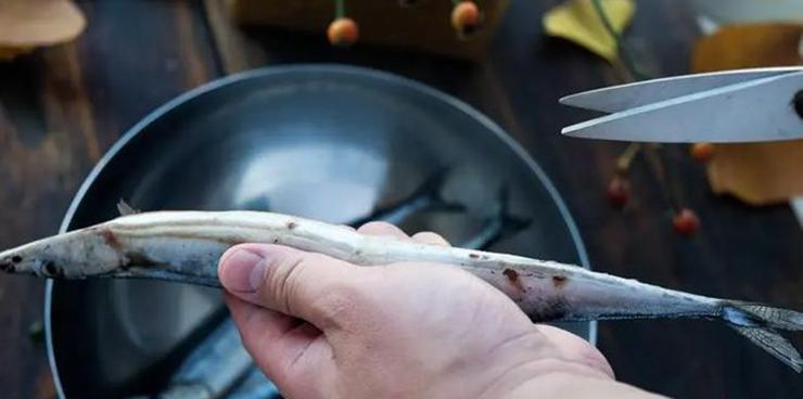 Loại cá Nhật Bản quý như vàng cho não nhưng nhiều người không thích-5