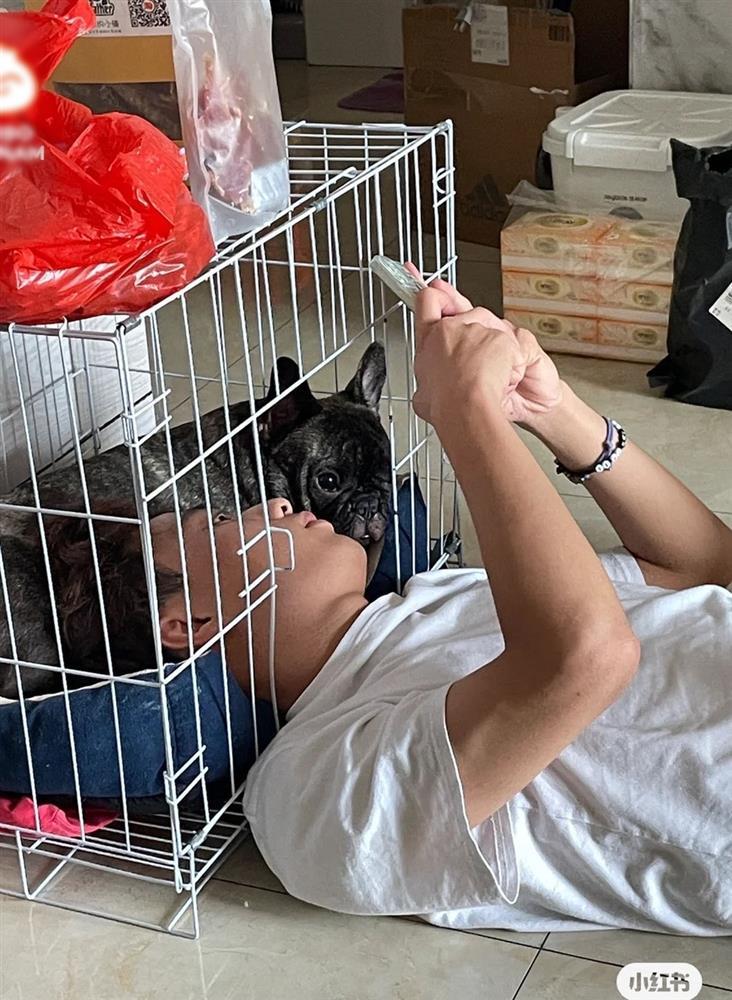 Ghét thú cưng leo lên giường, thanh niên nằm hẳn vào chuồng chó-2