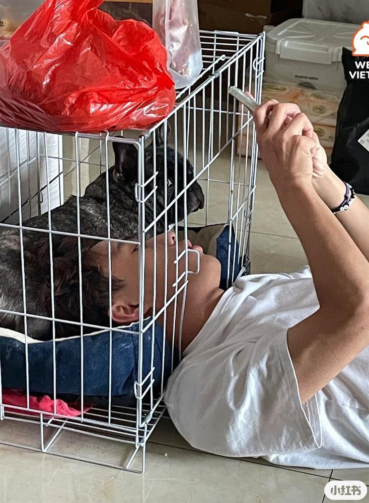 Ghét thú cưng leo lên giường, thanh niên nằm hẳn vào chuồng chó-3