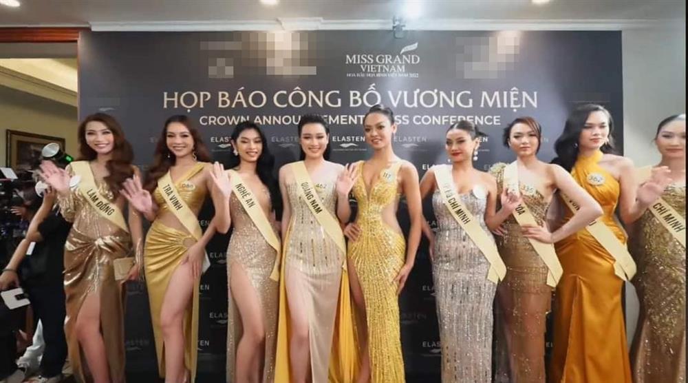 Mai Ngô không đeo sash, một mình một kiểu giữa dàn thí sinh-2