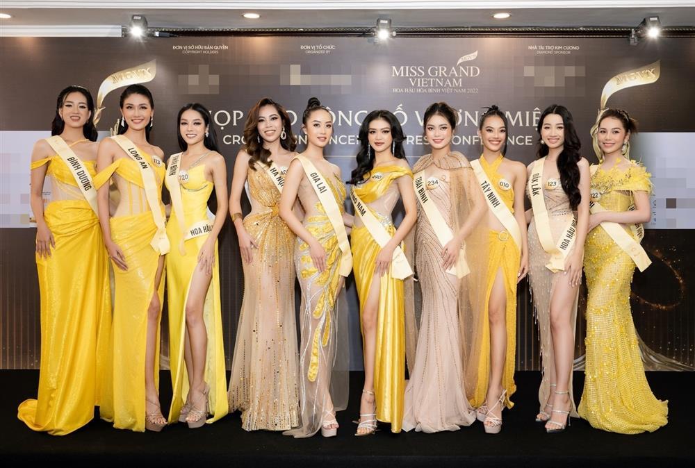 Mai Ngô không đeo sash, một mình một kiểu giữa dàn thí sinh-4