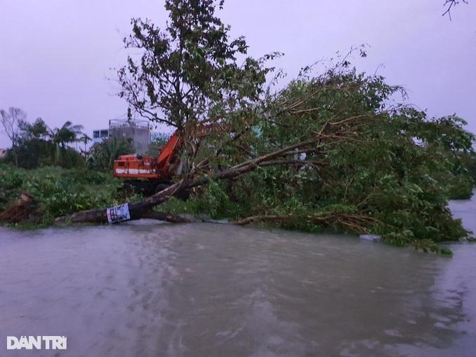 Nhiều tuyến phố ở Tam Kỳ (Quảng Nam) ngập sâu, có nơi ngập hơn nửa mét. Cây xanh ngã đổ; người và phương tiện di chuyển khó khăn vì đường ngập sâu, nước chảy xiết.