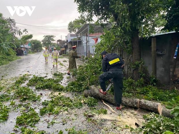 Đường từ phố Cổ Hội An về biển Cửa Đại, thành phố Hội An cây xanh ngã la liệt.