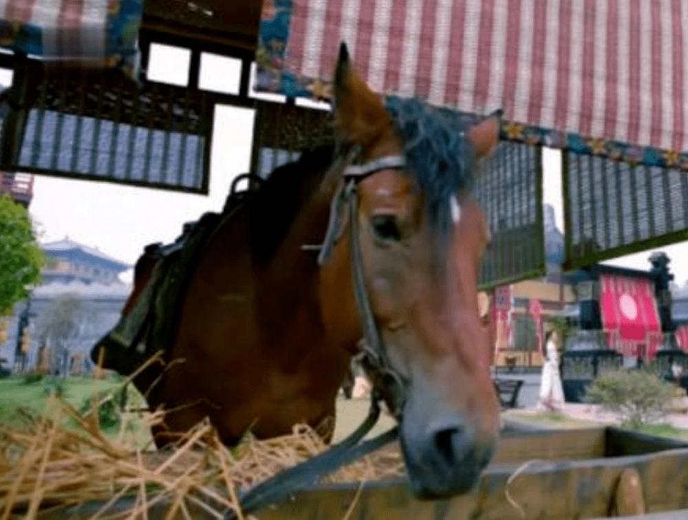 Lưu Diệc Phi mất lưng, Dương Mịch mất chân vì kỹ xảo ẩu-2